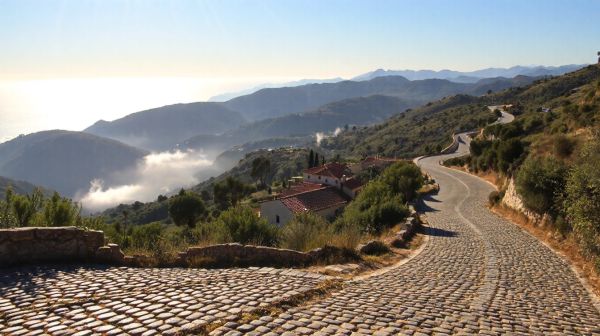 Top solutions de dératisation pour les Alpes-Maritimes